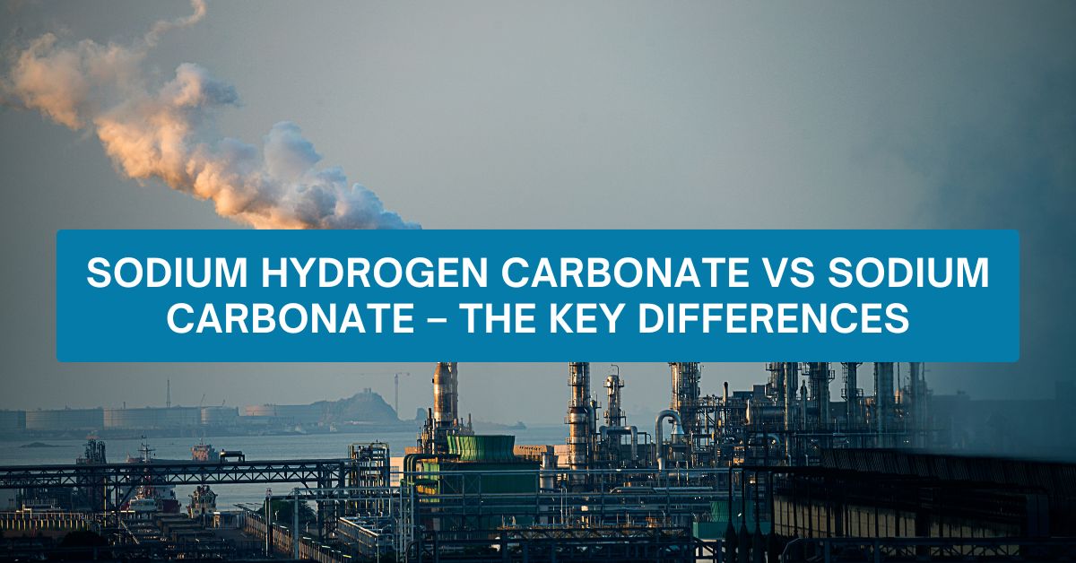 Sodium Hydrogen Carbonate vs Sodium Carbonate – The Key Differences